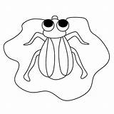 Premium Vector  Coloring Page Alphabets Animal cartoon fly sketch template