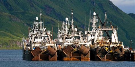 Major US seafood groups say bycatch language in Magnuson reauthorization legislation could lead ...