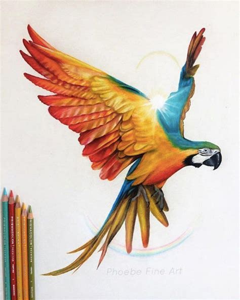 Guacamaya Volando Para Dibujar / Todo lo que necesitas para tu viaje está a sólo unos clics de ...