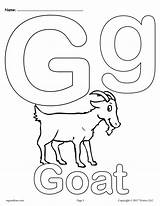 Letter G Alphabet Coloring Pages  3 FREE Printable Versions – SupplyMe sketch template