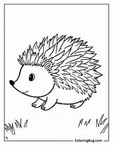 40 Hedgehog Coloring Pages Free Printable PDFs sketch template