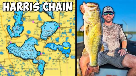 HARRIS CHAIN FISHING REPORT 2024 (What's happening on the Harris Chain of Lakes? SPAWN!) - YouTube