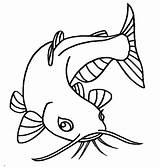 Catfish With Beuatiful Eyes Coloring Pages  Best Place To Color sketch template