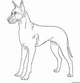 Great Dane Coloring Page » Turkau sketch template