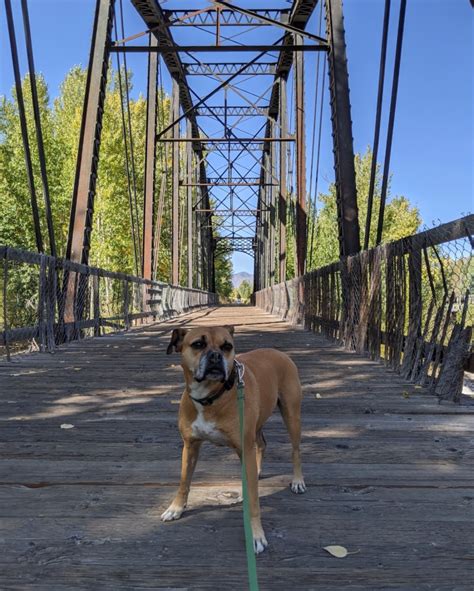 Two days in Ketchum, ID–Big Trip #3 – AirstreamDog