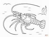 Printable Lobster Coloring Page sketch template