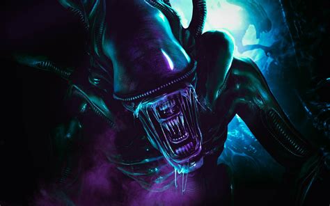 Xenomorph Alien Sci-Fi HD Wallpaper