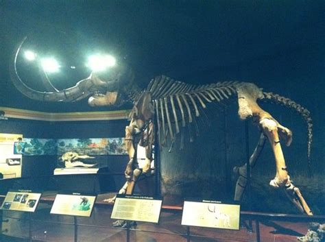 State Museum of Pennsylvania (Harrisburg) - 2020 All You Need to Know ...