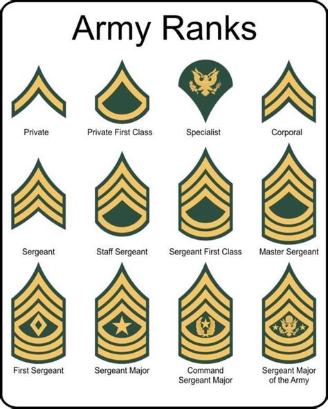 Military U.S. Army Rank insignia metal sign | Army ranks, Military ...