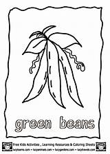 Green Beans Coloring Page Free  Home sketch template