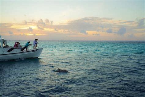 Coastal Animal Encounters For Nature Lovers