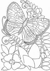 Free Printable Coloring Sheets Pdf Pages sketch template