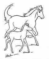 Free Printable Horse Coloring Pages For Kids sketch template