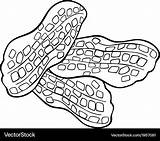 Coloring Pages Peanuts sketch template