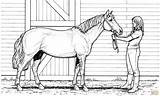 Printable Color Pages Of Horses  Activity Shelter sketch template