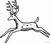 Running Spotted Deer Coloring Page Printable sketch template