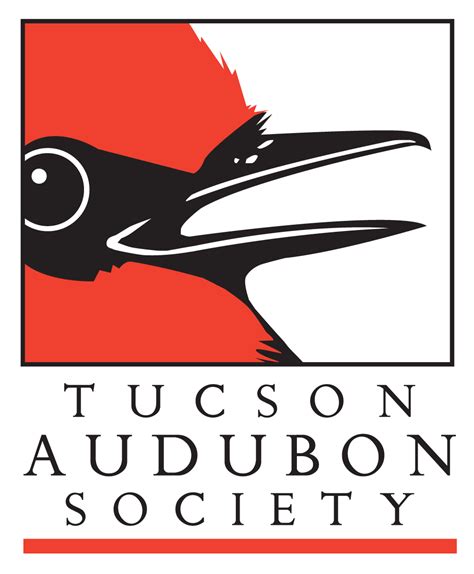 Reptiles and Amphibians of the Sonoran Desert – tucsonnatureshop