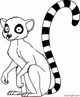 Madagascar Lemur Coloring Page Pages sketch template