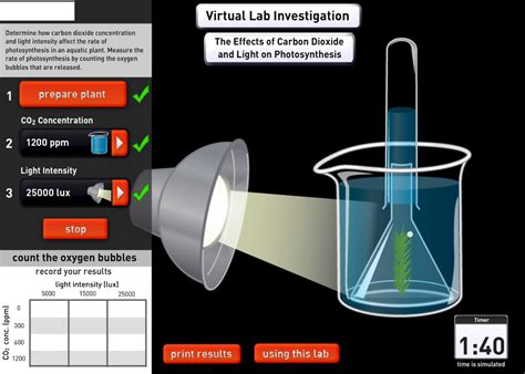 Photosynthesis Lab - ICT portfolio