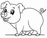 Pig Coloring Picture sketch template