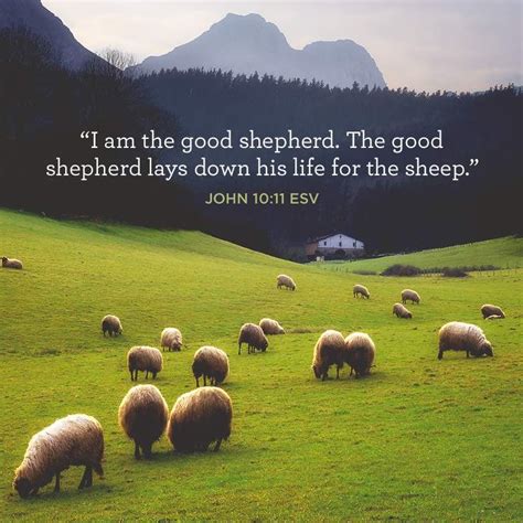 I Am the Good Shepherd