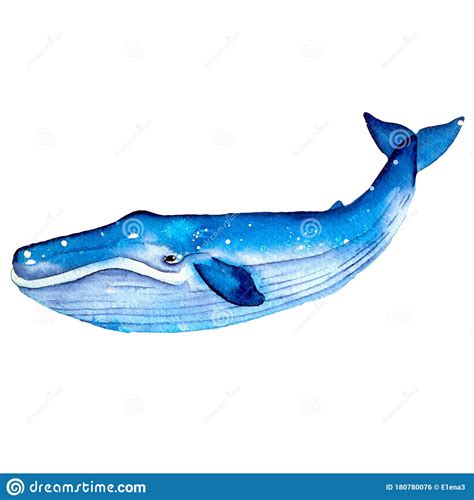 Blue Whale. Summer Mood, Sea, Ocean Stock Illustration - Illustration ...