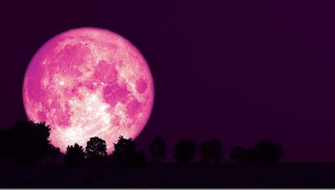 Strawberry Moon 2021: Spring’s Last Full Moon To Appear In Sky Today! - Science