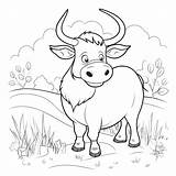 Ox Coloring Pages – Corner sketch template