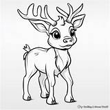 Reindeer Coloring Pages  Free & Printable sketch template