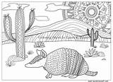Printable Desert Coloring Pages sketch template
