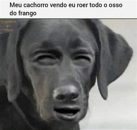 Meu cachorro vendo eu roer todo o osso do frango. - Memes