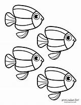 10 Fish Coloring Pages For Creative Kids sketch template