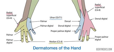 Fractures of the Distal Radius (Wrist Fractures) | Geeky Medics