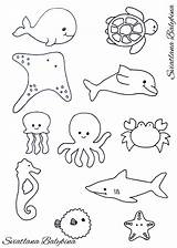 Marine Animal Coloring Pages Sketch Page sketch template