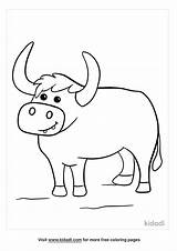 Ox Coloring Page sketch template