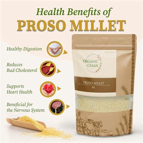 Organic Proso Millet by Organic Gyaan