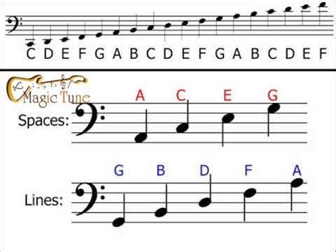 Notes On Bass Clef Ledger Lines | Bass Clef Notes