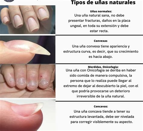 Nail Manicure, Diy Nails, Nail Techniques, Work Nails, Nails First ...