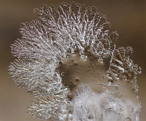 Snowflakes Macro Photography – Fubiz Media