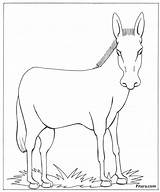 Donkey coloring pages To Download And Print For Free sketch template