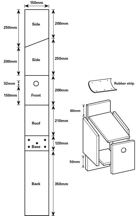 Build a bird box in 2020 | Bird houses diy, Bird house plans, Bird ...