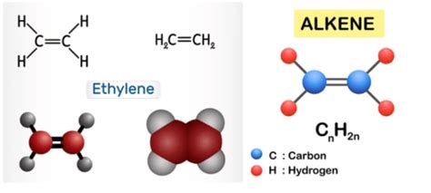 Olefins in Petroleum Refinery - www.thepetrosolutions.com