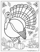 50 Thanksgiving Coloring Pages Free PDF Printables sketch template