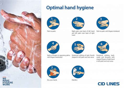 Hand hygiene | CID LINES