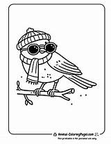 13 Canary Coloring Pages  Free Printable 🐤 PDFs sketch template
