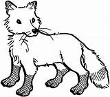 Fox Nursery Fun Themed Sketch Coloring Page sketch template