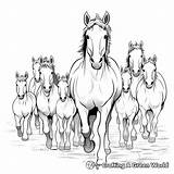 Herd Of Horses Coloring Pages  Free & Printable sketch template