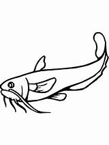 Catfish Coloring Pages For Adults Coloring sketch template