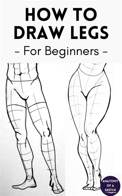 How to Draw Legs for Beginners | Human body drawing, Human anatomy ...