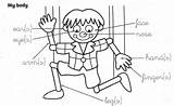 Parts Of The Body Coloring Pages For Preschool  sketch template